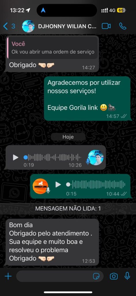 gorila-link-internet-fibra-optica-itaberai-goias3